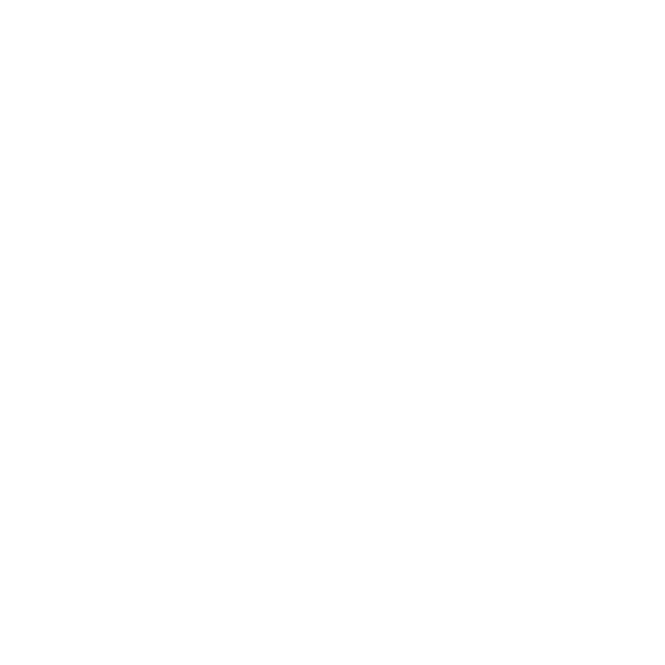 MICH GROUP