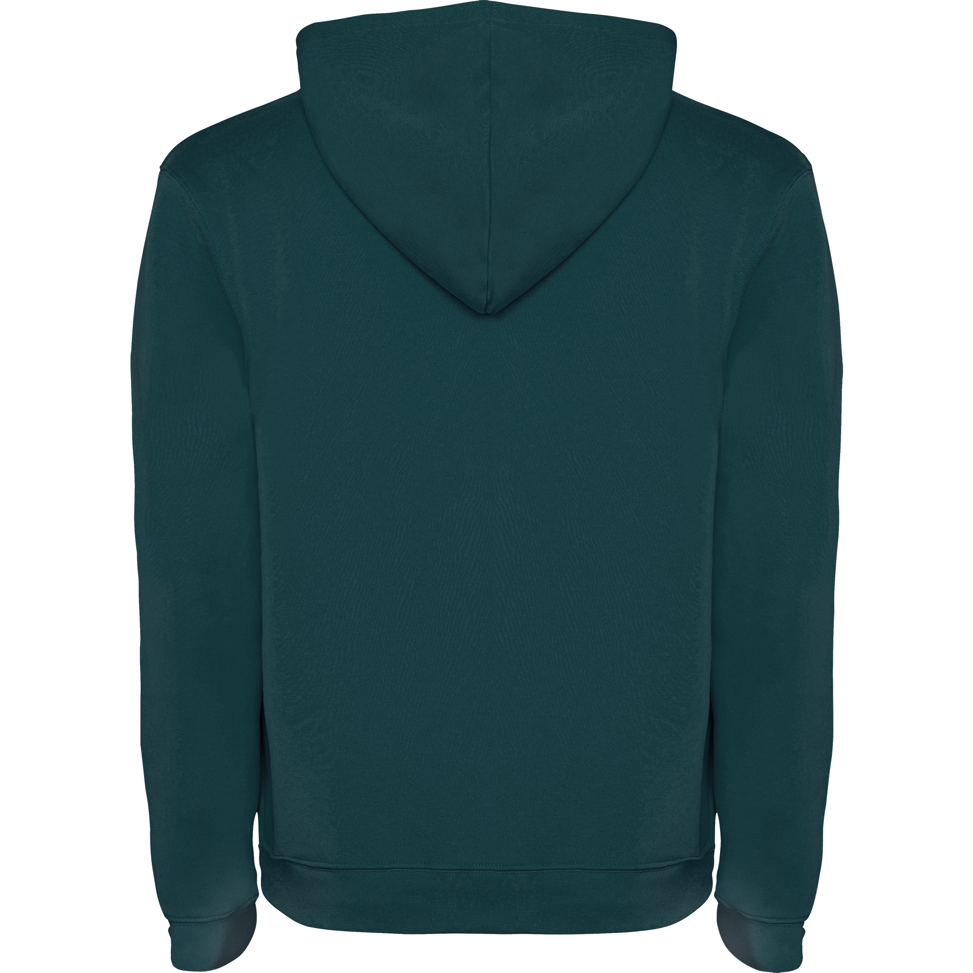 Custom Hoodie (1067)