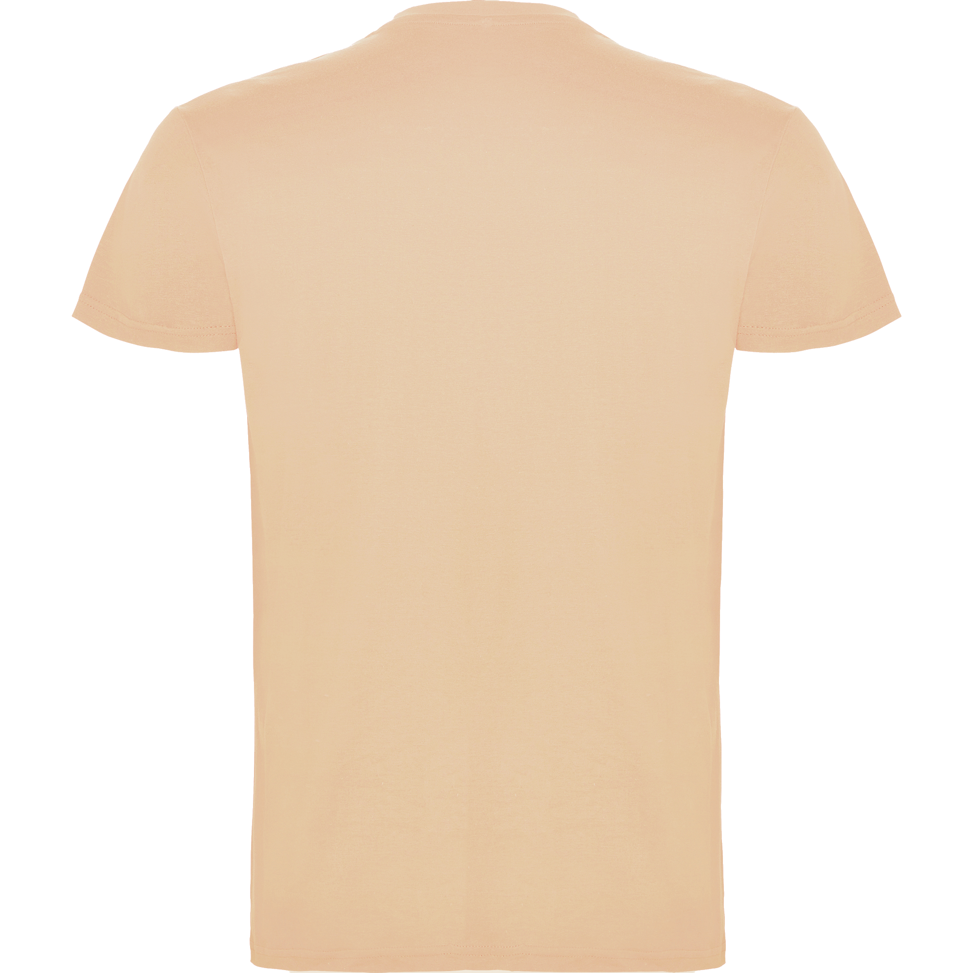 Custom T-Shirt (6554 Kids)